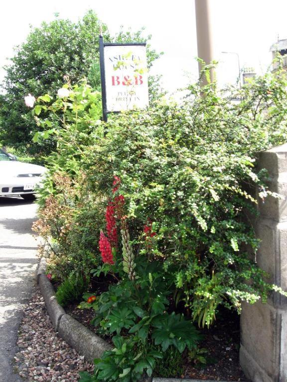 Ashley House Bed & Breakfast Dundee Dış mekan fotoğraf