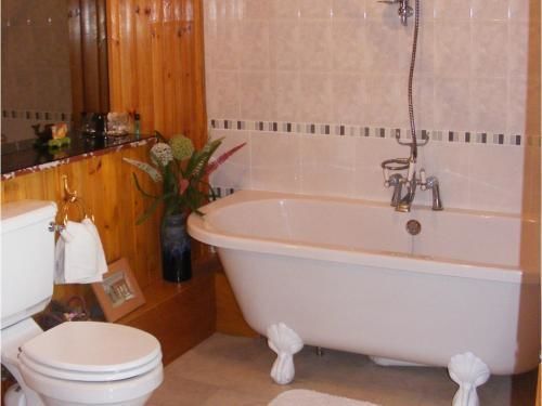 Ashley House Bed & Breakfast Dundee Dış mekan fotoğraf